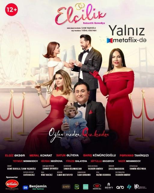 Elçilik